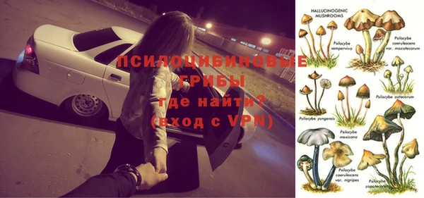 ешки Саки
